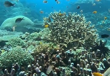 Eksplorasi Bawah Laut