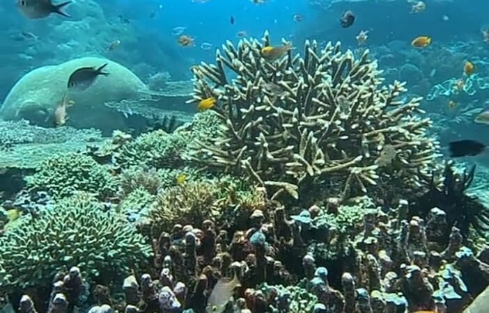 Eksplorasi Bawah Laut