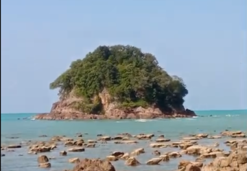 Panorama Terumbu Karang di Punggur Tuing